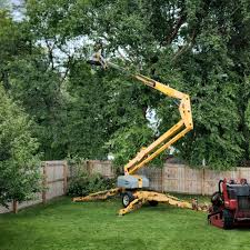 Grass Overseeding in East Farmingdale, NY